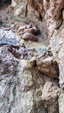 Grupo Mineralógico de Alicante. Rambla en Diapiro de Pinoso. Alicante
