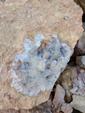 Grupo Mineralógico de Alicante.  Cantera Eficacia. Yacimiento de calcita de Arcones. Segovia 
