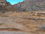 Grupo Mineralógico de Alicante.  Corta Brunita y alrededores 