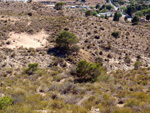   Minas de Ocre.El Sabinar. San Vicente/Mutxamel. Alicante