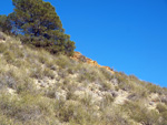   Minas de Ocre.El Sabinar. San Vicente/Mutxamel. Alicante