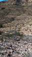   Minas de Ocre.El Sabinar. San Vicente/Mutxamel. Alicante