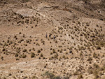  Minas de Ocre.El Sabinar. San Vicente/Mutxamel. Alicante