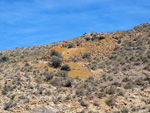  Minas de Ocre.El Sabinar. San Vicente/Mutxamel. Alicante