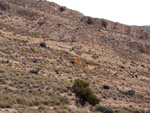 Minas de Ocre.El Sabinar. San Vicente/Mutxamel. Alicante