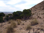   Minas de Ocre.El Sabinar. San Vicente/Mutxamel. Alicante