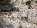   Minas de Ocre.El Sabinar. San Vicente/Mutxamel. Alicante