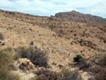    Minas de Ocre.El Sabinar. San Vicente/Mutxamel. Alicante