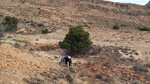    Minas de Ocre.El Sabinar. San Vicente/Mutxamel. Alicante