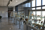 Museo Universidad de Sevilla