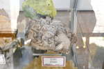 Museo Universidad de Sevilla