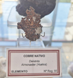 Museo Universidad de Sevilla