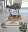 Museo Universidad de Sevilla