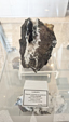 Museo Universidad de Sevilla