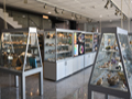 Museo Universidad de Sevilla 