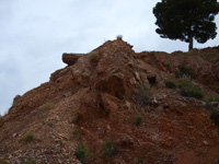 Concesión La Cena del Depósito. Cerro Minado. Cuesta Alta. Huércal-Overa. Almería