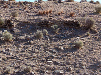 Mina Segundo San Antonio. Zurgena. Almería 