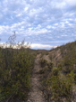 Mina Angostura. Almonaster la Real. Huelva