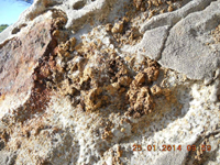 Cantera Del Barrio. Sierra de Mijas, Mijas, Málaga, Andalucía, España