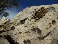 Cantera Del Barrio. Sierra de Mijas, Mijas, Málaga, Andalucía, España
