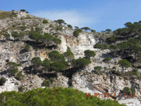 Cantera Del Barrio. Sierra de Mijas, Mijas, Málaga, Andalucía, España