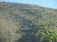 Concesión Encarnación (Mina Buenavista), Cerro del Pechón, Sierra de Mijas, Mijas, Málaga