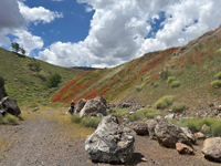 Cantera del Arzollar. Valverde, Ciudad Real