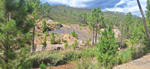 Cuenca minera de Henarejos, Minas de Hulla. Henarejos. Cuenca