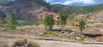 Cuenca minera de Henarejos, Minas de Hulla. Henarejos. Cuenca