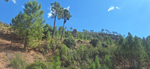 Cuenca minera de Henarejos, Minas de Hulla. Henarejos. Cuenca