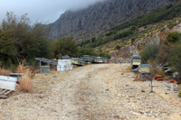 Cantera de Áridos de la Sierra de Segaria. Ondara.  Alicante