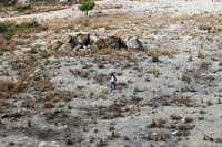 Cantera de Áridos de la Sierra de Segaria. Ondara.  Alicante