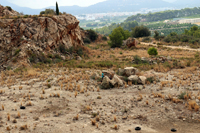 Cantera de Áridos de la Sierra de Segaria. Ondara.  Alicante