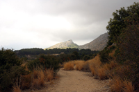 Cantera de Áridos de la Sierra de Segaria. Ondara.  Alicante