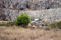 Cantera de Áridos de la Sierra de Segaria. Ondara.  Alicante