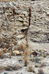 Cantera de Áridos de la Sierra de Segaria. Ondara.  Alicante