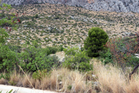 Cantera de Áridos de la Sierra de Segaria. Ondara.  Alicante