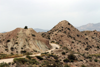 Monnegre. Alicante