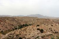 Monnegre. Alicante