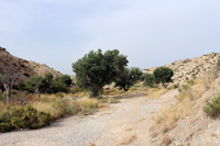 Monnegre. Alicante