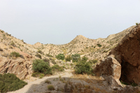 Monnegre. Alicante