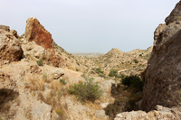 Monnegre. Alicante