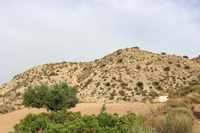 Monnegre. Alicante