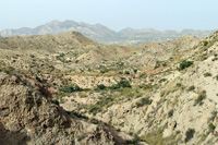 Monnegre. Alicante.