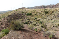 Paraje Piedra Negra. Jijona.Alicante