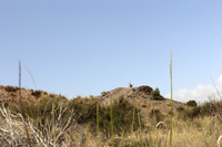 Paraje Piedra Negra. Jijona.Alicante