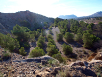 Serreta Negra. Moralet. Alicante