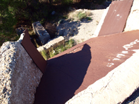 Serreta Negra. Moralet. Alicante