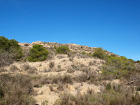 Serreta Negra. Moralet. Alicante