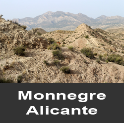 Monnegre. Alicante